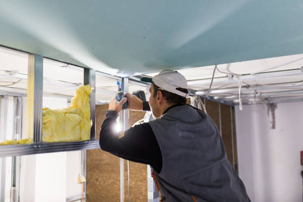 Best Insulation for Specific Applications in Blissfield, MI